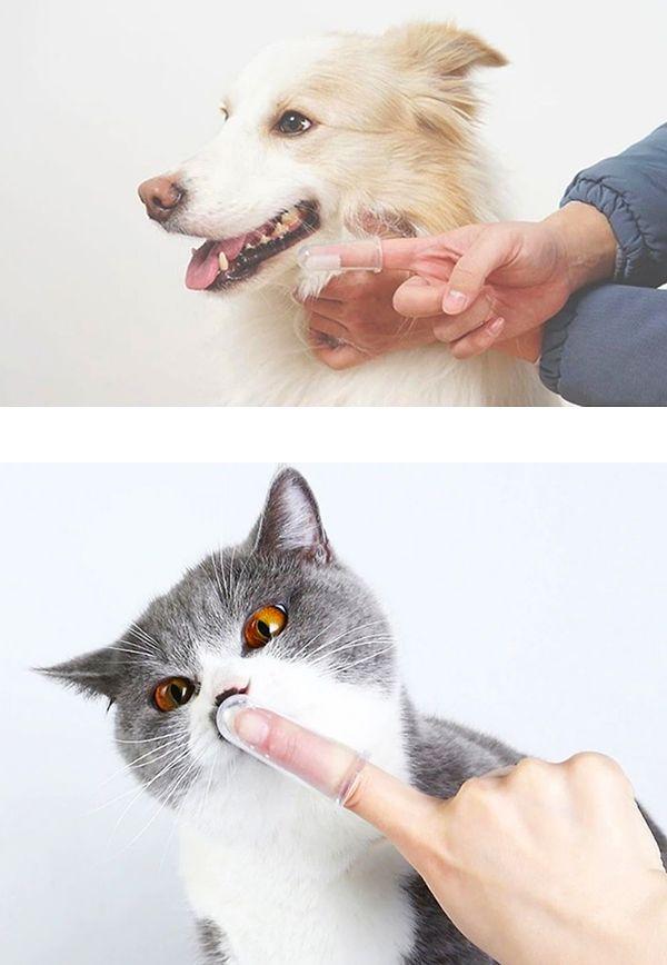 19. Diş sağlıkları için kedi köpek diş fırçası...