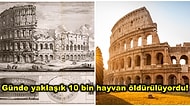 Gladyatörlerin Ölümüne Savaştıkları Kolezyum Hakkında Genel Kültürünüzü Arşa Çıkaracak İlginç Bilgiler