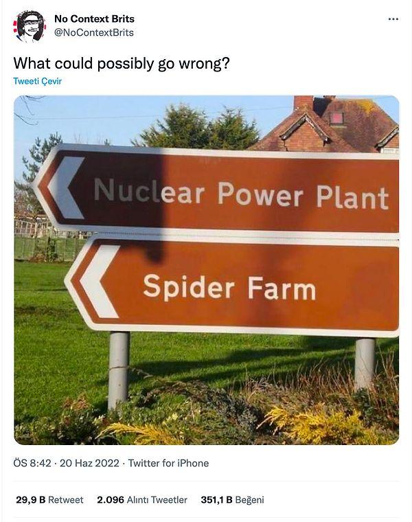 2. İddia: Nükleer santral ile bi örümcek çiftliği yan yana; Örümcek Adam, acaba?
