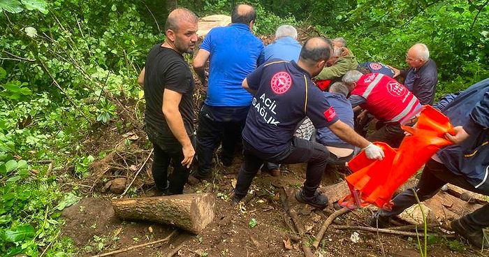 Baba ve Oğulun Talihsiz Ölümü: Kestikleri Ağaç Sonları Oldu