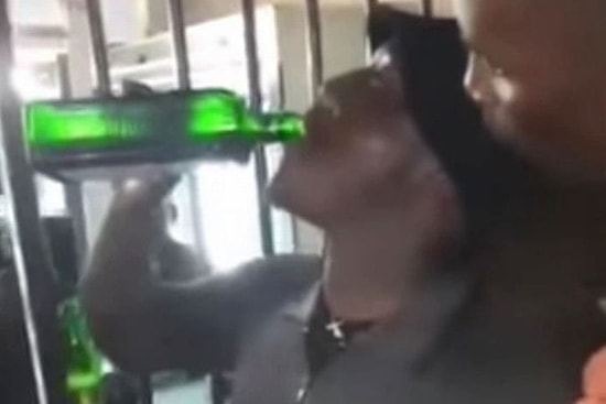 Girdiği Yarışmada Bir Şişe Alkolü 2 Dakikada Bitiren Adam Yaşamını Yitirdi