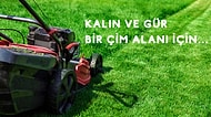 Bahçe Bakımıyla Uğraşanların Kullanmaktan Zevk Aldığı En Güzel Çim Biçme Makineleri