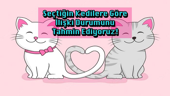 Seçtiğin Kedilere Göre İlişki Durumunu Tahmin Ediyoruz!