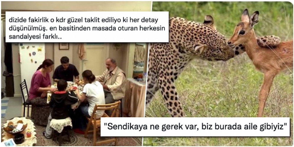 Bebek Tartısı Olan İnternden Demet Akalın'ın Dansçısı Olan Mühendise Son 24 Saatin Viral Tweetleri