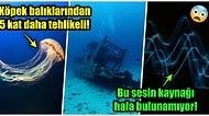 Bermuda Şeytan Üçgeni'nden Korkutucu Deniz Yaratıklarına Okyanuslar Hakkında Uykularınızı Kaçıracak 19 Gerçek