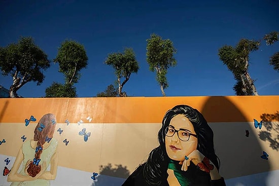 Özgecan Aslan Barış Meydanı'ndaki Yarım Asırlık Ağacı Asit Enjekte Edip Kuruttular