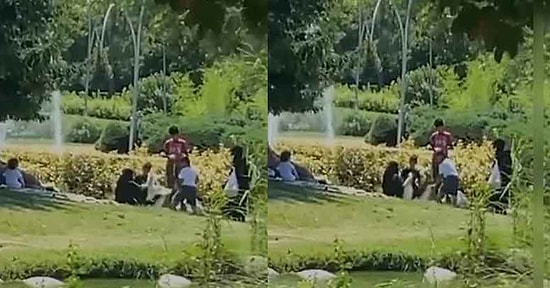 Emniyet ve Belediyeden 'Çok Önemli' Kaz Açıklaması: 'Çalmadılar, Gezdirmeye Getirdiler'