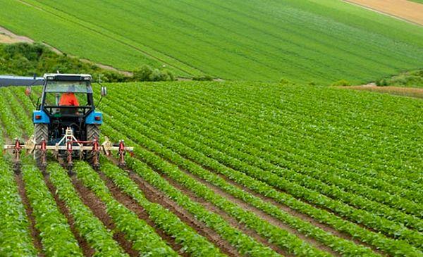 Türkiye İstatistik Kurumu(TÜİK), tarım üretici fiyatları, ücretli çalışan istatistiklerini yayımlayacak. Tarım ÜFE en son yıllık yüzde 155 artış seviyesine kadar çıktı (10.00).
