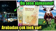 Sri Lanka Hakkında Daha Önce Hiçbir Yerde Duymadığınızı İddia Ettiğimiz Birbirinden Enteresan 19 Gerçek