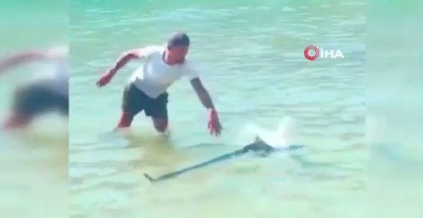 Bazı vatandaşlar balığın ölümüne sebep olduğu iddiası ile balığın kuyruğundan tutan kişiye tepki gösterdi.