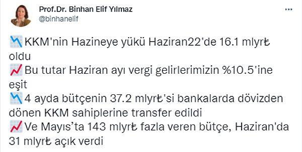 İstanbul Üniversitesi İktisat Fakültesi Maliye Bölümü Öğretim Üyesi Prof. Dr. Elif Binhan Yılmaz da yükü vergilerle karşılaştırdı.