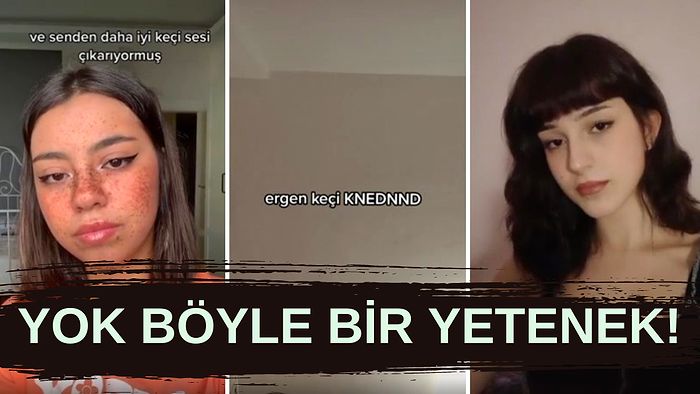 Bir TikTok Videosundan Alınabilecek Maksimum Verim: Keçi, Kuzu, Koyun Sesini %100 Etkili Ayırt Etme Yöntemi