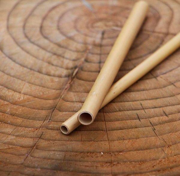 10. Bambu pipete ne dersiniz?