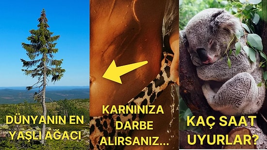 Öğrendiğiniz Andan İtibaren Bilgi Hazinesine Dönüşeceğiniz Birbirinden İlginç Kültürel Gerçekler