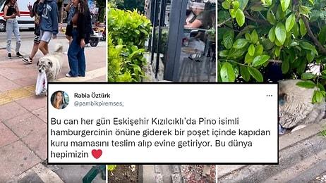 Eskişehir'de Her Gün Restoranın Önüne Bırakılan Poşetteki Kuru Mamayı Teslim Alıp Evine Getiren Köpek