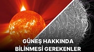 Canlıları Isıtıp Yaşamı Mümkün Kılan Güneş'imiz Hakkında Bilmeniz Gereken Her Şey