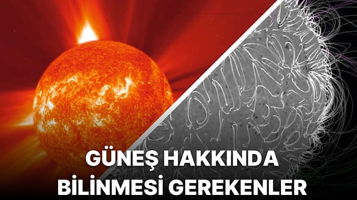 Canlıları Isıtıp Yaşamı Mümkün Kılan Güneş'imiz Hakkında Bilmeniz Gereken Her Şey