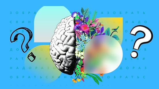 Тест: ответы на 9 вопросов помогут определить, какое полушарие мозга у вас доминирует