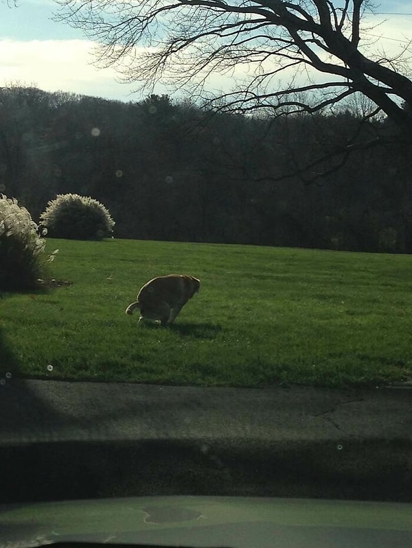 20. Могучая сила природы