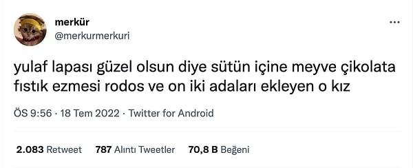 14. Bir şeyin içine güzel olsun diye bu kadar şey eklenmez. Yemeyelim daha iyi...