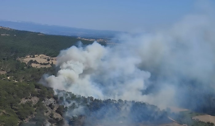 Çanakkale'de Orman Yangını!