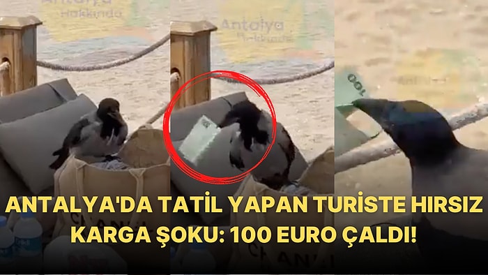 Hayırlı İşler: Antalya'da Turistin Çantasından 100 Euro Çalan Karganın Hırsızlık Anı Kaydedildi