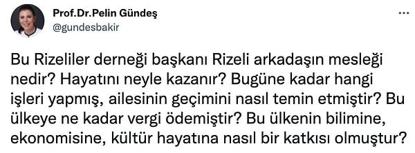 AKP'li eski vekil Pelin Gündeş tepki gösterdi...