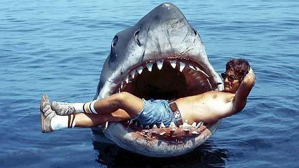 6. Steven Spielberg'in Jaws'ının piyasaya sürülmesi, bir köpekbalığı tarafından saldırıya uğrama olasılığınız çok yüksek olmamasına rağmen, izleyicilerde bir köpekbalığı korkusu uyandırdı.