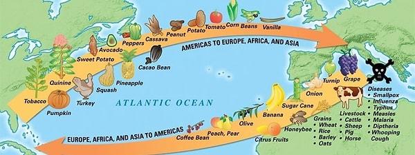 9. Kolomb Değişimi (Columbian exchange) ile birlikte dünyanın dört bir yanına yeni gıdalar ulaştı. Kristof Kolomb bitki ve tohumların dünya çapında yayılmasını başlatana kadar Florida'da portakal ve Ekvador'da muz yoktu. Sadece bu da değil, İrlanda'da patates yoktu, Kolombiya'da kahve yoktu, Hawaii'de ananas yoktu, Osmanlı'da ise domates ve patates yoktu!