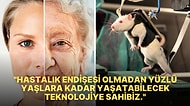 Tıpta Çığır Açacak Gelişme: Bilim İnsanlarının Fareler Üzerinde Yürüttükleri Çalışma Yaşlanmanın Önüne Geçti