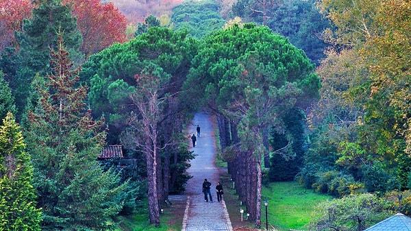Atatürk Arboretumu Ziyaret Saatleri