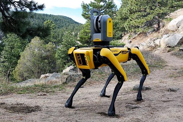 İki robot köpek gün içerisinde sabit diski aramakla meşgul olacak. Gece ise "hazine avcılarına" karşı tetikte bekleyecekler.