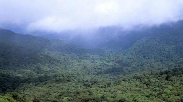 19. Monteverde Bulut Ormanı Koruma Alanı, Kosta Rika