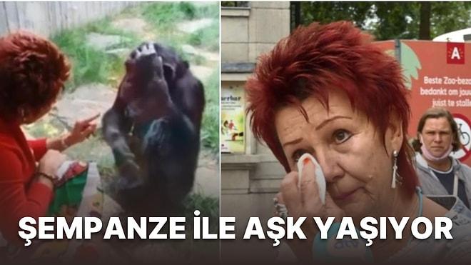 Belçika'da Şempanze İle İlişki Yaşadığını Söyleyen Kadının Hayvanat Bahçesine Girmesi Yasaklandı!