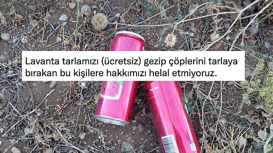 Lavanta Tarlasını Gezip Çöpleri Yere Atan Ziyaretçiler Twitter'da Gündem Oldu