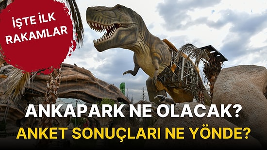 Ankapark Ne Olacak? Anket Sonuçları Ne Yönde? İşte İlk Rakamlar