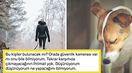 Köpeğini Gezdirirken Silahlı Saldırıya Uğrayan Kadının Anlattıkları Hepinizi İnsanlıktan Soğutacak