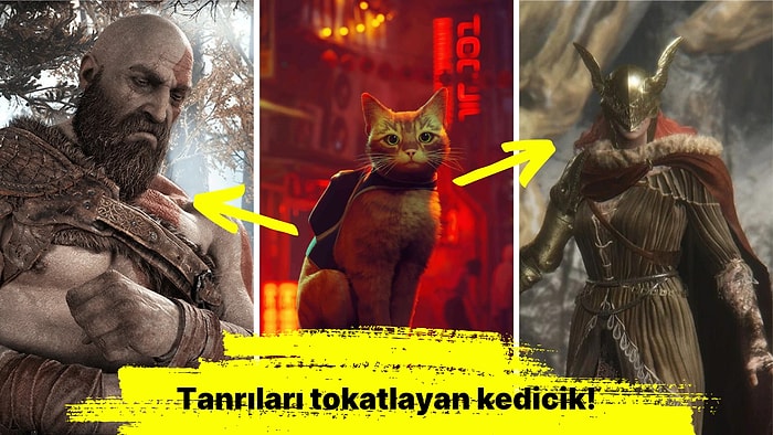 Kedicik Devleri Deviriyor: Stray Kullanıcı Puanlarında God of War ve Elden Ring'i Geçti