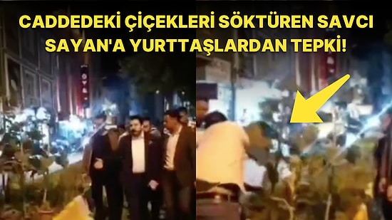 AKP'li Başkanı Savcı Sayan ve Yardımcılarının Cadde Süslemesi İçin Dikilen Ayçiçeklerini Sökmesi Tepki Çekti