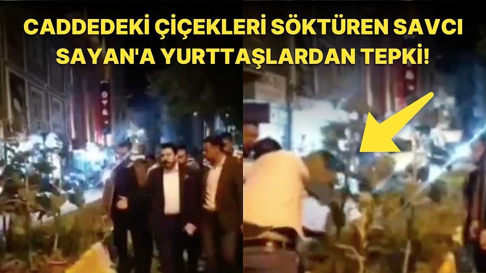 AKP'li Başkanı Savcı Sayan ve Yardımcılarının Cadde Süslemesi İçin Dikilen Ayçiçeklerini Sökmesi Tepki Çekti
