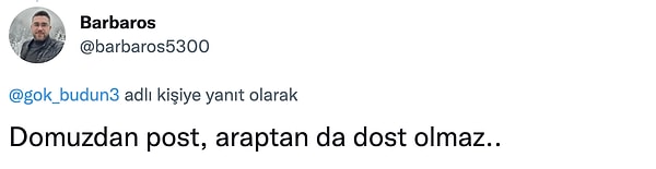 Tabii diziden bu kesite tepkiler de gecikmedi: