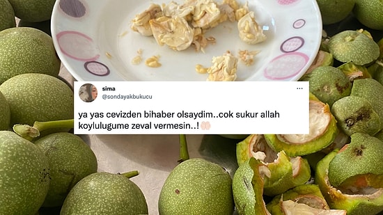 Bilenlerin Elleri Karardı Bile! Yaş Cevizi Öven Sosyal Medya Kullanıcısına Gelen Birbirinden Nefis Yorumlar