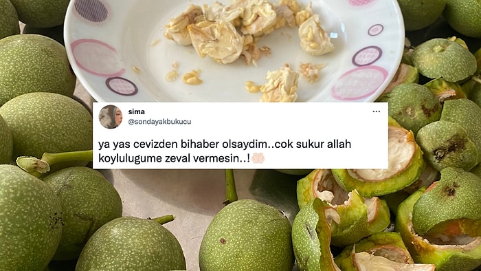 Bilenlerin Elleri Karardı Bile! Yaş Cevizi Öven Sosyal Medya Kullanıcısına Gelen Birbirinden Nefis Yorumlar