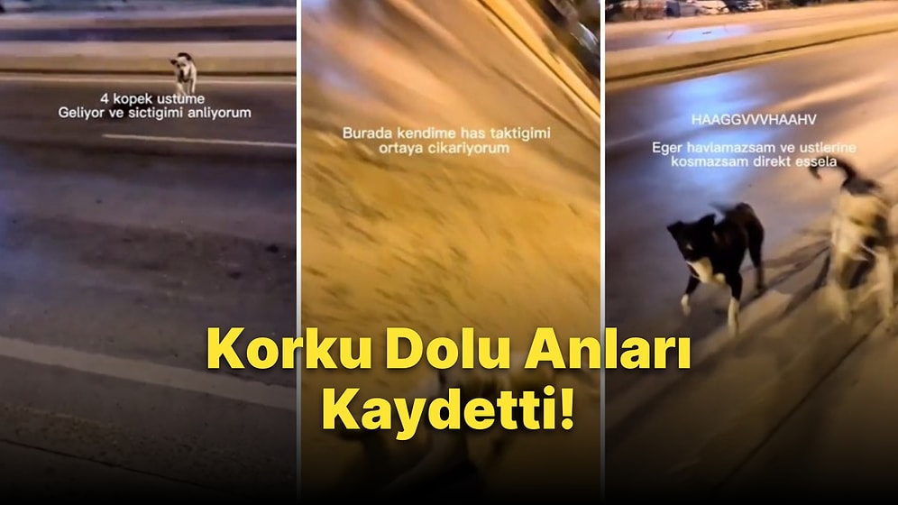 Üzerine Gelen Sokak Köpeklerinden Kurtulmak İçin Köpekle Köpek Olan Gencin Korku Dolu Anları