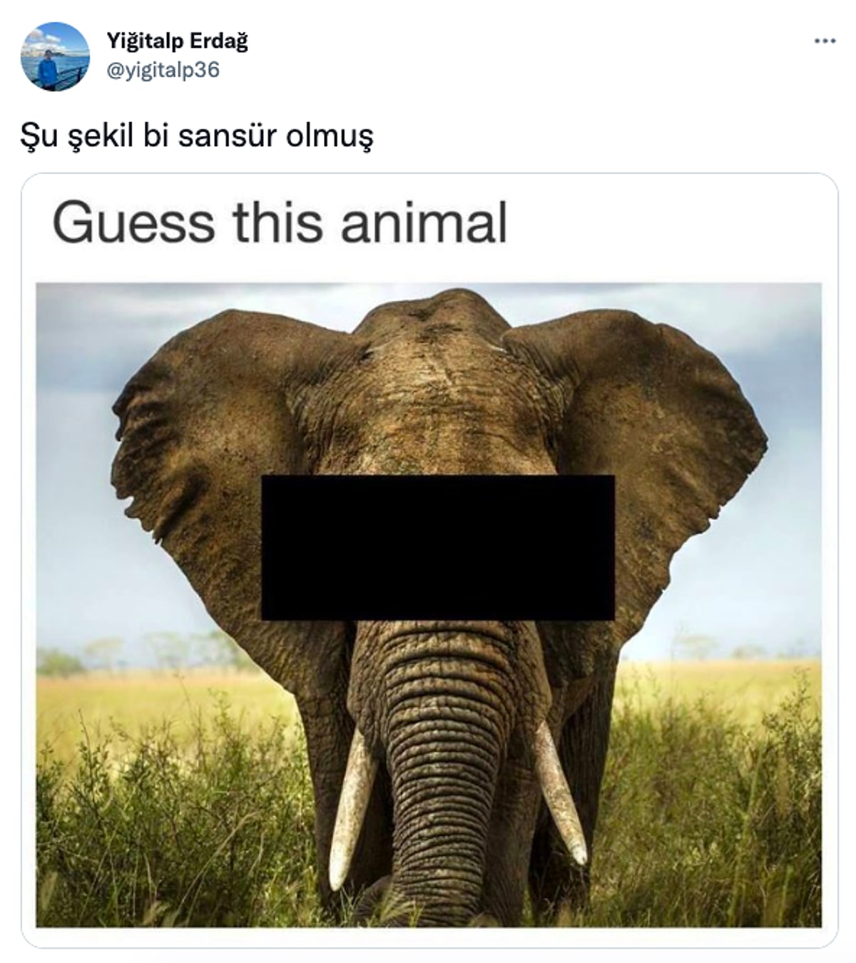 Fenerbahçeli Ünlü Futbolcunun OnlyFans Modeli Gizem Bağdaçiçek'e Attığı