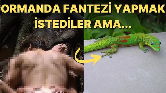 Karısıyla Fantezi İçin Gittikleri Ormanda Cinsel Birliktelik Yaşayan Adamın Penisine Kertenkele Girdi!