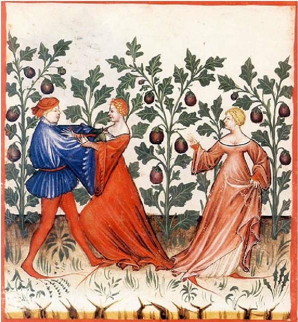 7. Uzun süren mücadelenin ardından artık 10. yüzyılla birlikte patlıcan Avrupa'da kabul görmeye başladı. Sebebi ise çok basit: Afrodizyak olması!