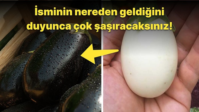 Közlemesinden Kızartmasına Her Haliyle Çok Sevdiğimiz Patlıcanın İlginç Tarihine Çok Şaşıracaksınız