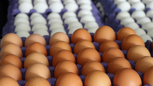 Geçen yıl 88 kuruş olan yumurtanın tanesi bu yıl 2,79 TL'yi bulurken, yüzde 217 oranında zamlandı.