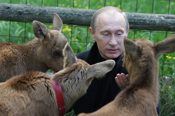16. Birçok köpeği olduğu bilinen Putin ayrıca tam bir hayvansever. Kendisinin kaplanlarla, atlarla ve hatta nesli tehlikede olan Siberya boz ayılarıyla bile fotoğrafları bulunuyor.